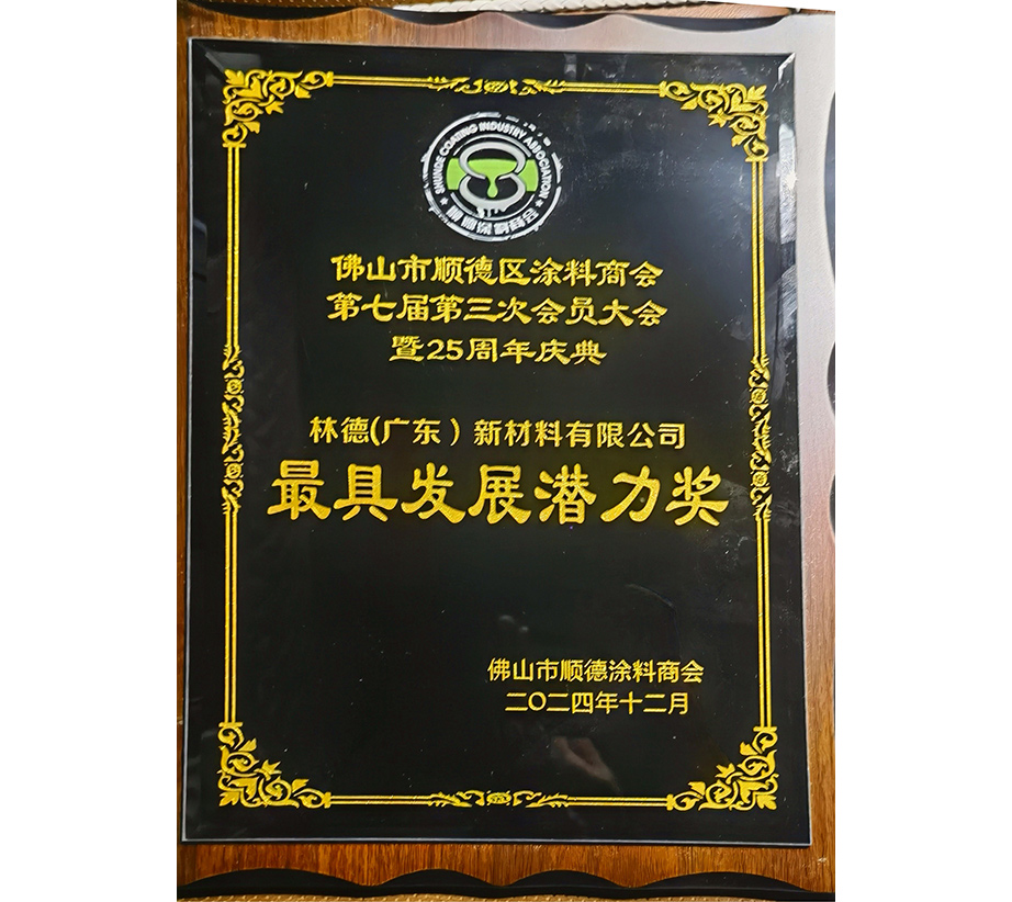 最具发展潜力奖